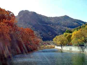 新澳天天开奖资料大全旅游团，净水剂